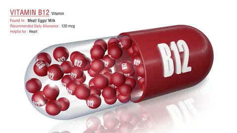 The Role of Vitamin B12 in Red Blood Cell Production